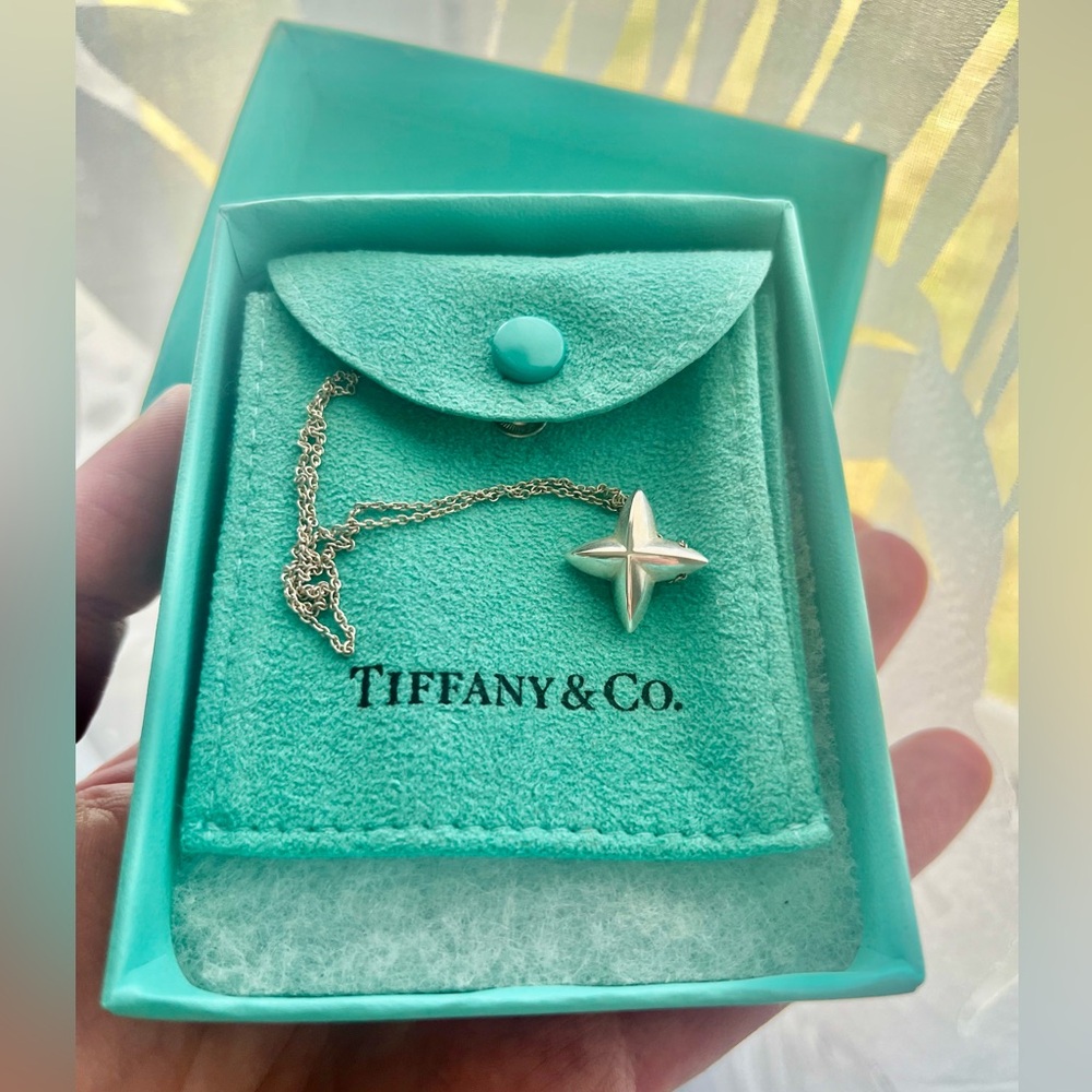 Tiffany & Co. Sirius Star Pendant Necklace